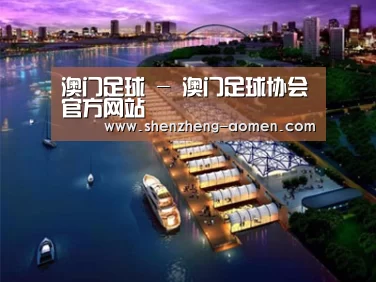 案例展示八
