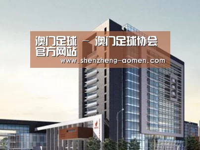 案例展示七