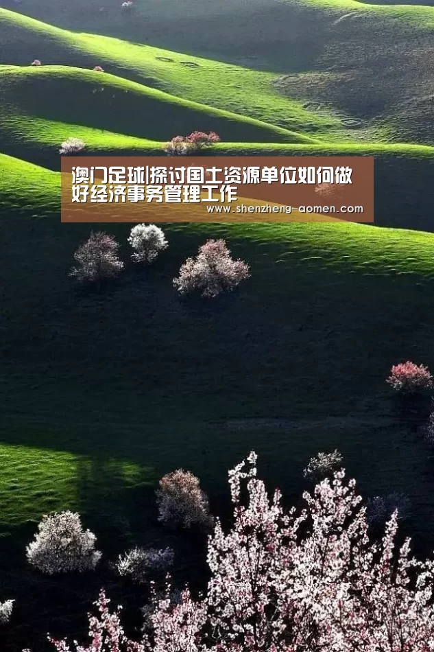 澳门足球|探讨国土资源单位如何做好经济事务管理工作(图1) 澳门足球协会